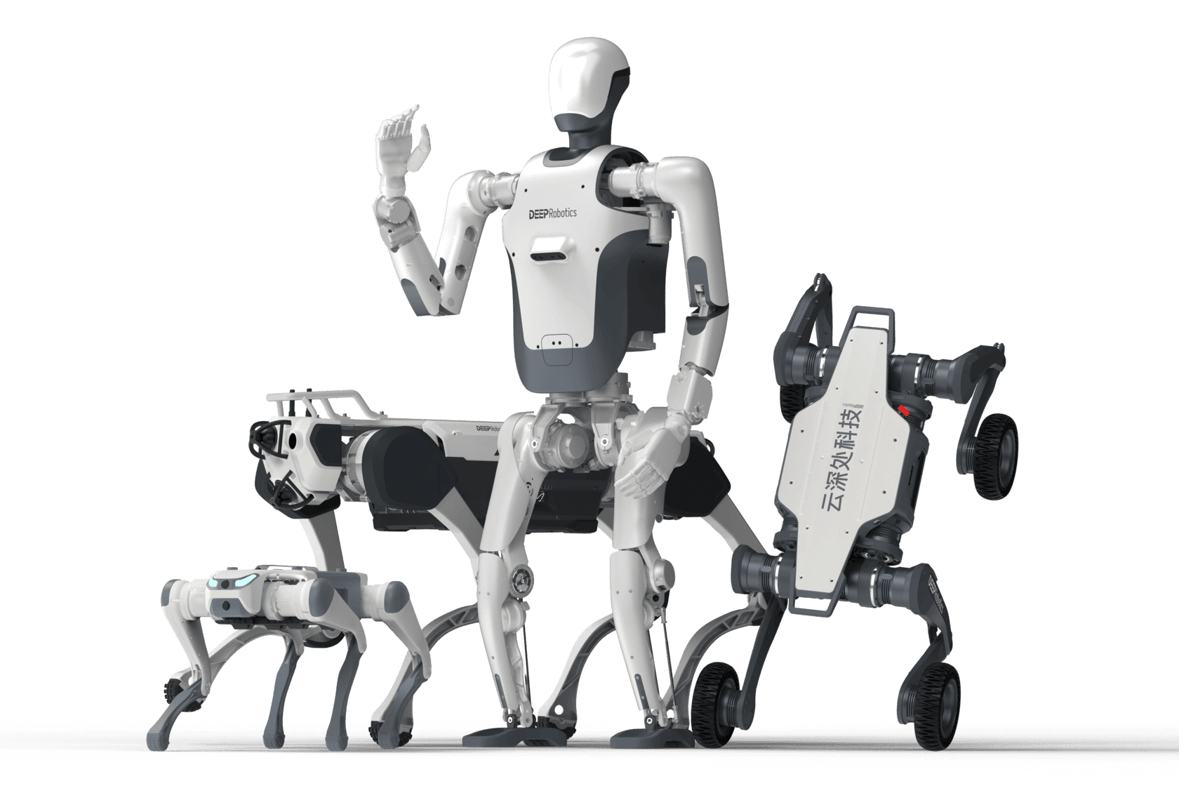 Showcase of DEEP Robotics humanoid robot DR01 with X30, Lite 3, and Lynx quadruped robots