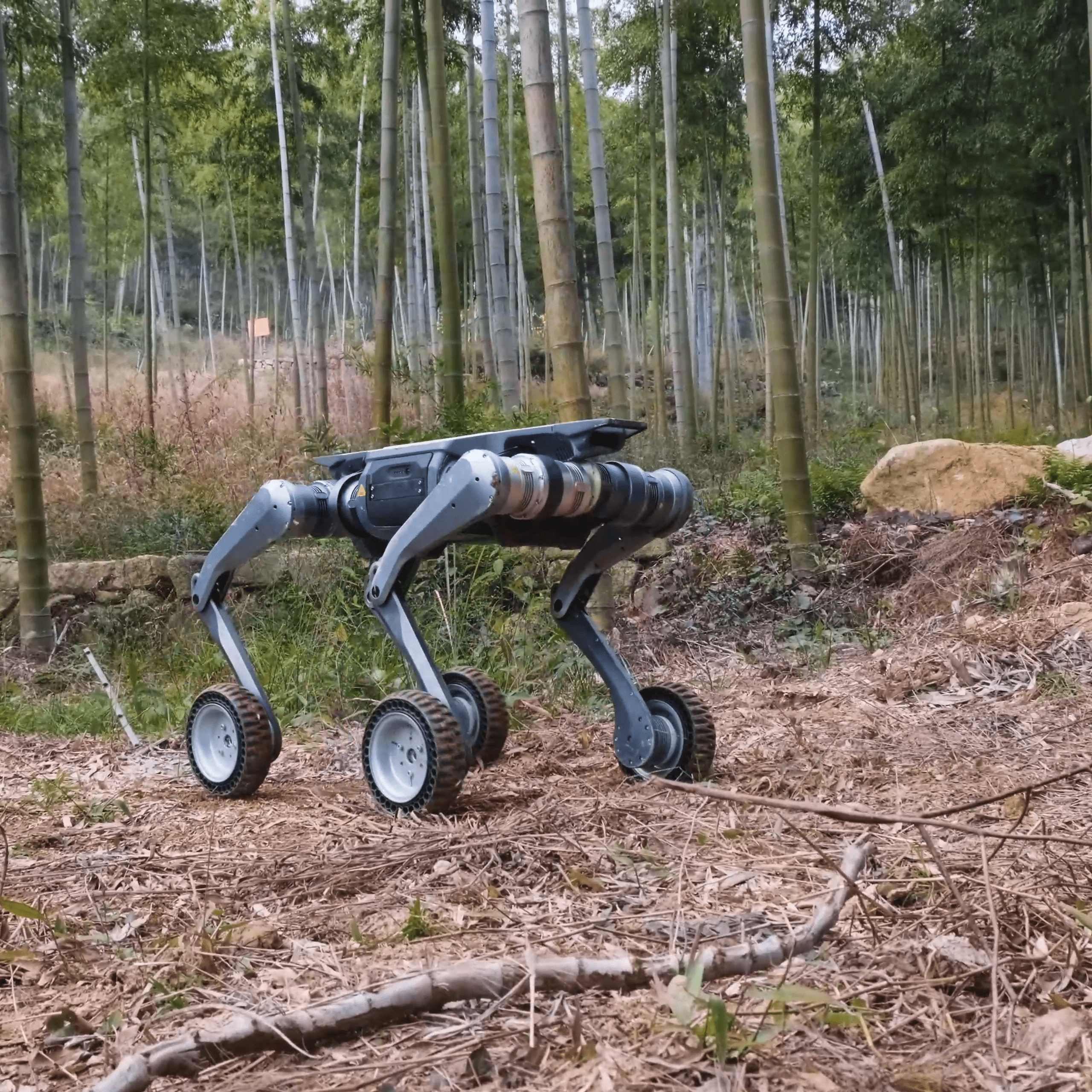 Lynx Sport Extreme Off-Road